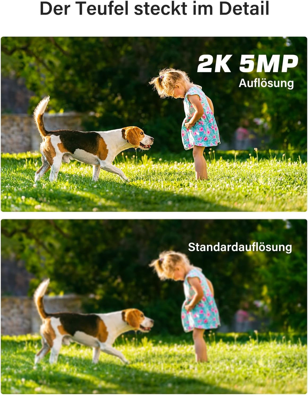 ANNKE 5MP Überwachungkamera Set Aussen mit Person- und Fahrzeugerkennung, 3K Lite 8CH DVR mit 2TB Festplatte, 8x 5MP Analoge Innen Überwachungskamera, IP67 Wetterfest, 30M EXIR Nachtsicht, Fernzugriff