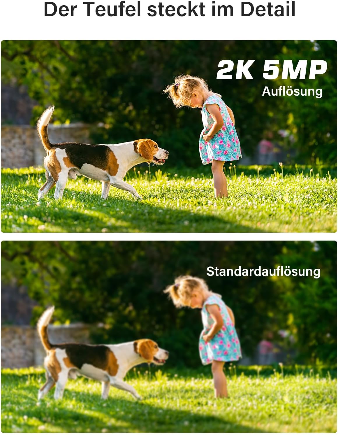 ANNKE 5MP Überwachungkamera Set Aussen mit Person- und Fahrzeugerkennung, 3K Lite 8CH DVR mit 2TB Festplatte, 8x 5MP Analoge Innen Überwachungskamera, IP67 Wetterfest, 30M EXIR Nachtsicht, Fernzugriff