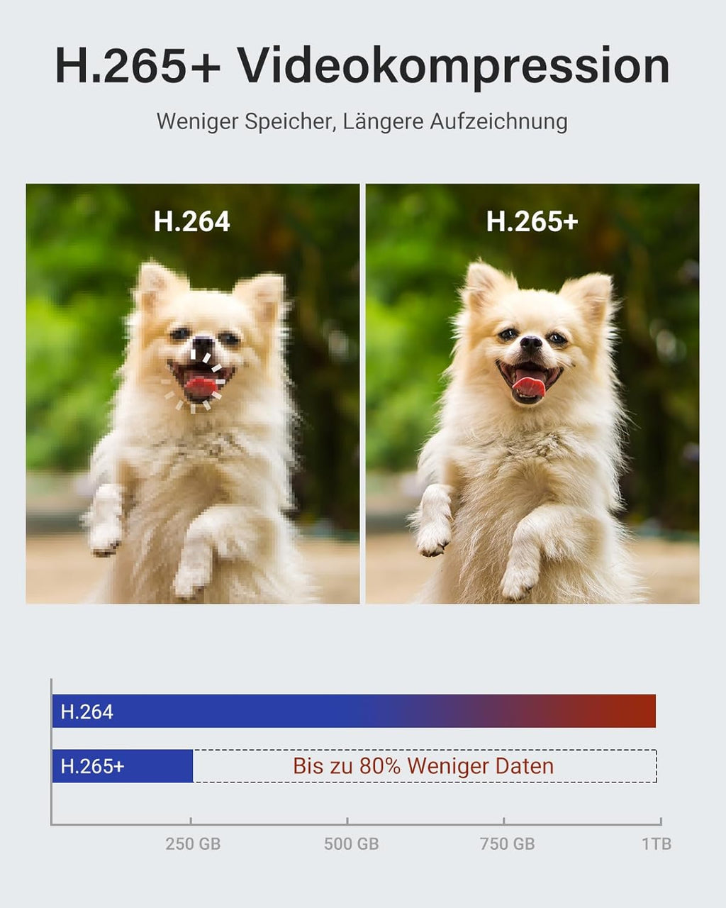 Système de Vidéosurveillance ANNKE 5MP 8 Canaux – Vision Nocturne 30M, Détection IA - Serrures connectée, intelligentes et sécurisées, iSmartLock.fr